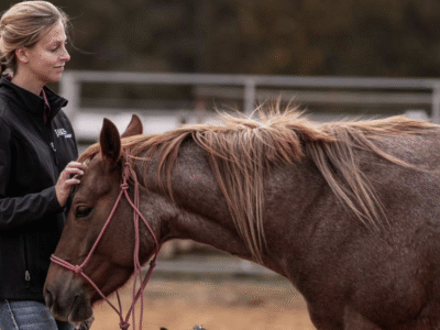 JAKS Stables